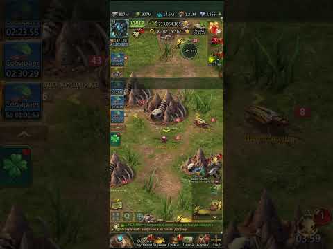 Видео: 3 ноября 2025 г.