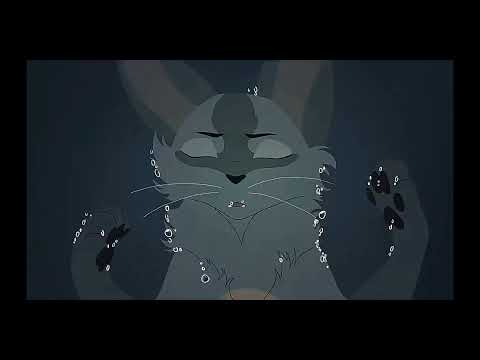 Видео: 🐾КОТЫ ВОИТЕЛИ 🐾 "ЭЙЯ"