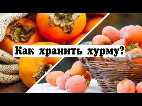 Видео: Как хранить хурму, чтобы она дозрела: секреты и хитрости