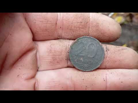 Видео: 7 ноября 2025 г.