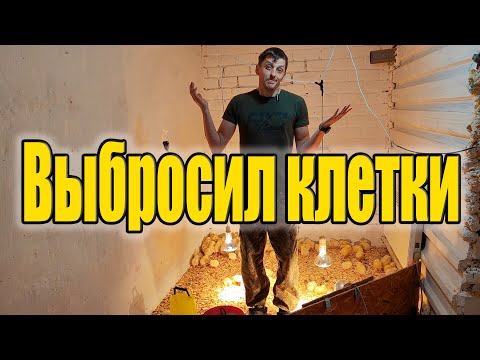 Видео: Напольное содержание бройлера. Вернулись к истокам.