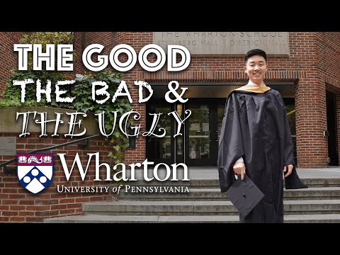 Видео: Правда о бизнес-школе