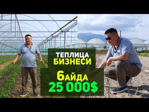 Видео: Теплица иштетип байып кетет деп ишенген эмесмин. Бул видеодон кийин ойлонуп каласынар.