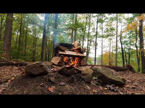 Видео: Осенний лес и тихий треск костра. Autumn forest and quiet crackling fire.