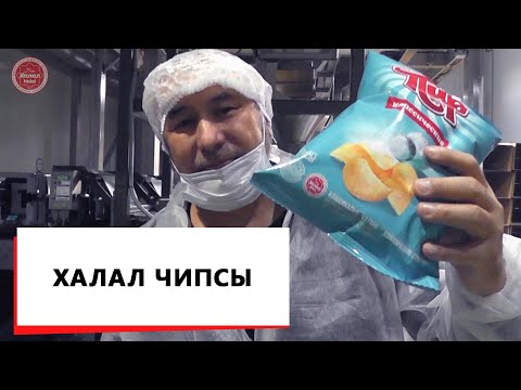 Видео: АДАЛ ЧИПСЫ / Мыктыбек Арстанбек