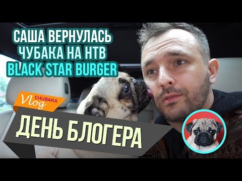 Видео: Возвращение Саши, Чубака на НТВ, День блогера. Chubaka Vlog!