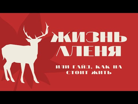 Видео: Реальная история жизни Аленя или гайд, как не стоит жить.