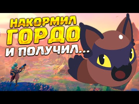 Видео: ДВА ТОЛСТЫХ ГОРДО ( Slime Rancher 2 ) #23 / ПРОХОЖДЕНИЕ НА РУССКОМ