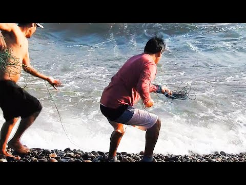 Видео: Море дарует им огромную награду... Посмотрите, что оказывается в их сетях!