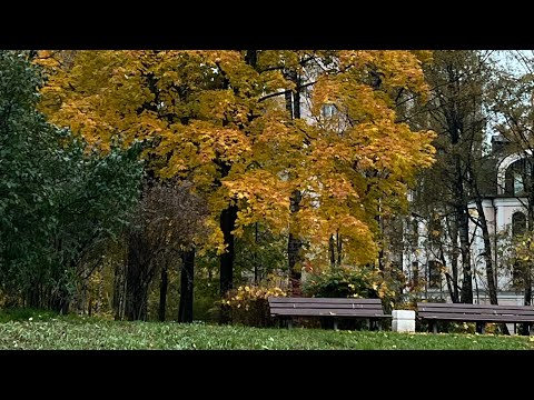 Видео: Медитация в день Рога Изобилия🙌🙏🏻💞