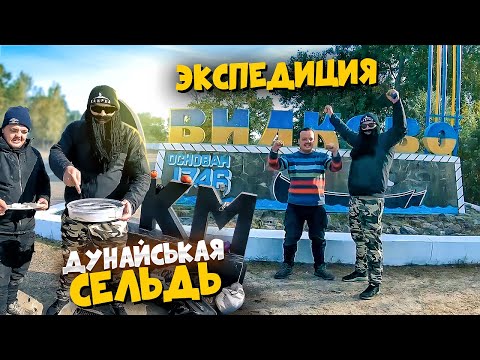 Видео: Экспедиция в Вилково ч.1 Готовим дунайскую сельдь на нулевом километре!!!