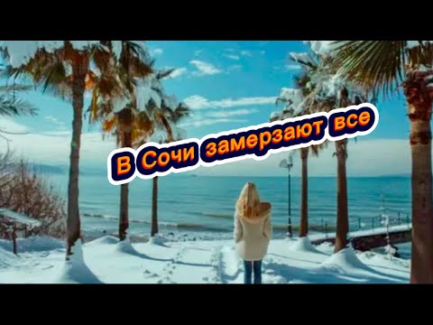Видео: Море в Сочи замерзло. Ломаются от снега пальмы. Аварии на дорогах Сочи. Жизнь в Сочи. Отдых в Сочи