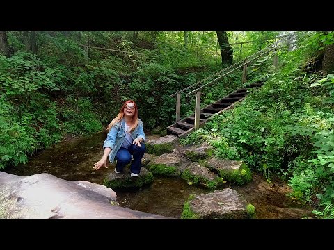 Видео: Колесим по краю: Волжский район (Кленовая гора, зеленый ключ, дуб Пугачева)