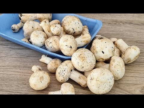 Видео: 🎯 Попробуйте приготовить грибы таким образом, вашей семье понравится 💖