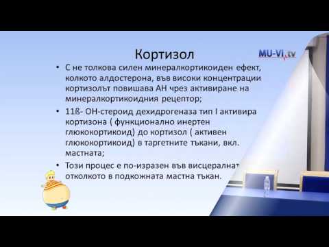 Видео: Затлъстяване и артериална хипертония в детска възраст