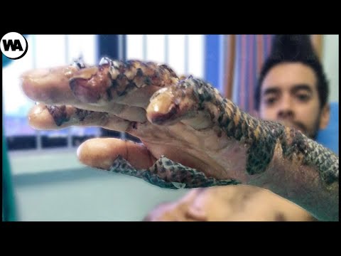 Видео: Сумасшедшие Идеи, Которые Действительно Работают