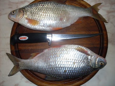 Видео: На зимней рыбалке нет мелочей. 18 февраля на Маныче. Шахтинские рыболовы. Подсказки Юрия Философа.