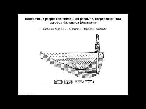 Видео: Еремин Н. И. - Геология полезных ископаемых - Рассыпные и осадочные месторождения