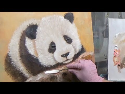 Видео: Как написать панду. Panda.