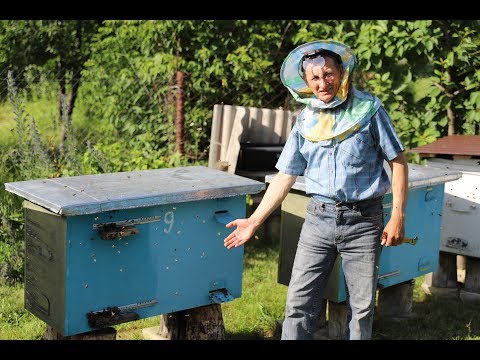 Видео: Как сделать семью-стартер и семью воспитательницу