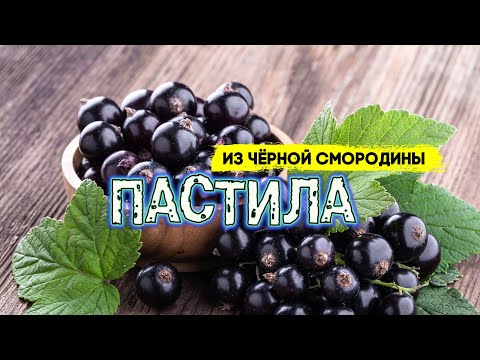 Видео: Пастила из черной смородины 🍇 Лакомство для детей и взрослых