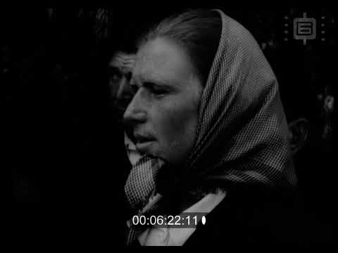 Видео: Кинопреглед 343 / Newsreel 343 (1951)