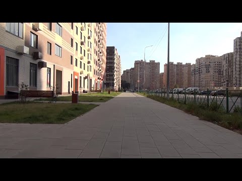 Видео: Камера на руле велика. Через поле - в Новое Пушкино (17.09.2023)