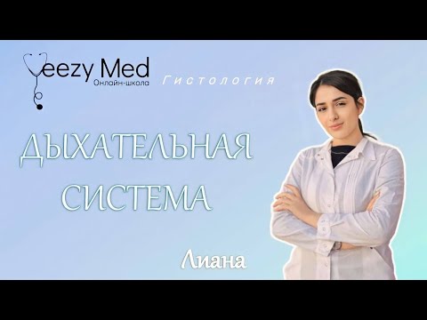 Видео: Гистология. Дыхательная система. Развитие. Строение верхних дыхательных путей.