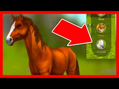 Видео: СИМУЛЯТОР ЛОШАДИ #1 НОВАЯ ЛОКАЦИЯ и ЖИВОТНЫЕ в WildCraft