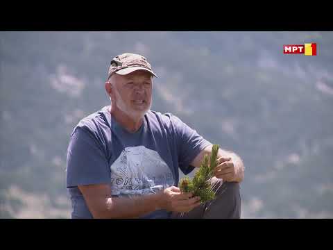 Видео: Чудесна МАКЕДОНИЈА - Бор Кривуљ со проф. др. Јане Ацевски