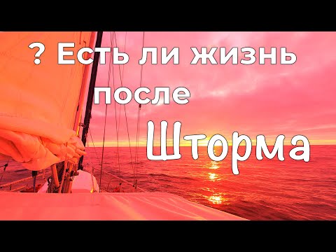 Видео: После шторма. Переход Южной Атлантики на яхте от мыса Горн до Тристан-да-Кунья. Кругосветка