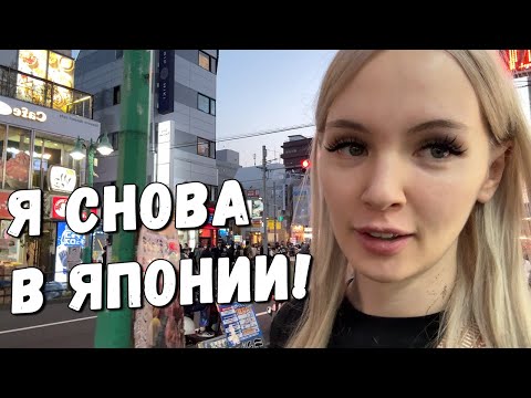 Видео: Я снова в Японии! Долгий перелёт. Поселилась в злачном районе! 🇯🇵