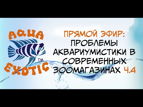 Видео: Прямой эфир: Проблемы аквариумистики в современных зоомагазинах . Выпуск 4