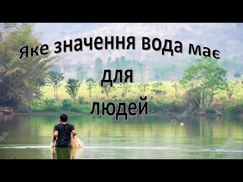 Видео: Урок 23. Яке значення має вода для життя людей? Я досліджую світ 3 клас.
