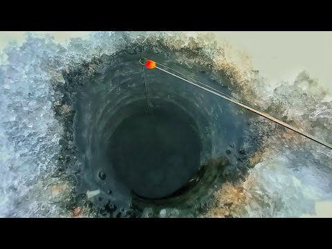 Видео: МОНСТРЫ ИЗ КОРЯГ. РЫБАЛКА НА БЕЗМОТЫЛКУ