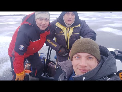 Видео: Ловля окуня зимой на балансир