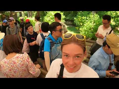 Видео: Винперл Нячанг: Альпийские сани чуть не убили нас! 😅