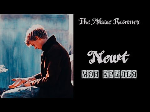 Видео: Newt (+Thomas) ✘ Мои крылья