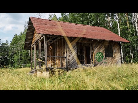 Видео: Заброшенный хутор спустя год после осушения болота.