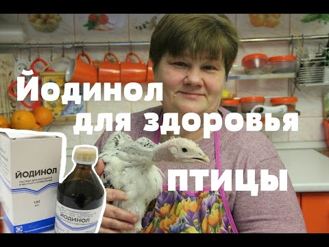 Видео: Йодинол! И Ваша птица будет здорова!