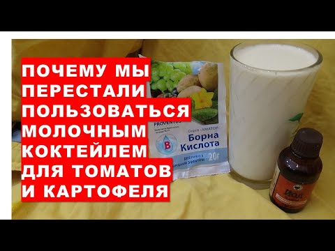 Видео: Почему мы перестали пользоваться молочным коктейлем для защиты помидоров от болезней и для подкормки