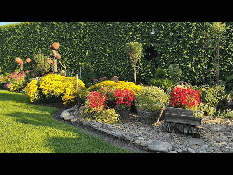 Видео: ТОР-5 РОСЛИН, щоб САД НЕ ВИГЛЯДАВ ГОЛИМ ВОСЕНИ