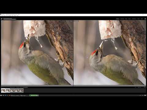 Видео: Сортировка и атрибутирование фотографий