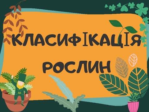 Видео: Класифікація рослин (Інфасотка)