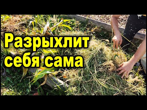 Видео: Такая гряда позволит вам не копать, разрыхлит и удобрит почву сама.