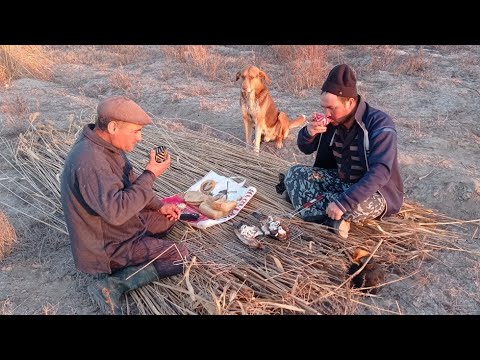 Видео: Tabiat qo'ynida bir kun. Ko'ldan qamish o'rib qarmoqda baliq 🐟 tutdik #рыбалка #baliq #baliqovi