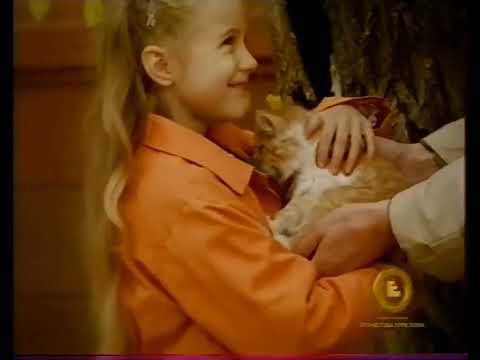 Видео: Анонсы и рекламный блок (Первый канал, 18.05.2005) (1)