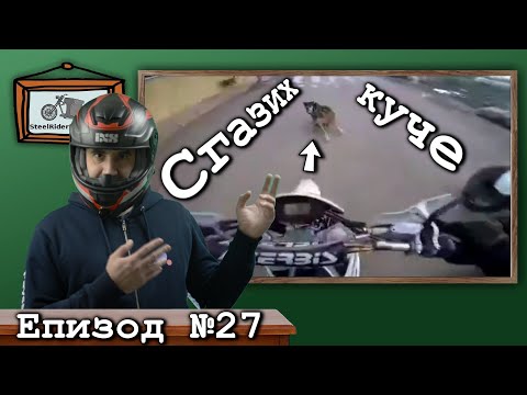 Видео: Сгазени животни и хора от мотористи / Ваши видеа №27 / Animals and people hit by motorcycle