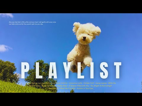 Видео: [playlist] Даже когда мир шумит, моя ванна остается спокойной 🫧 | Эмоциональный поп-плейлист