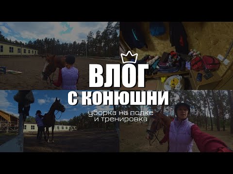 Видео: В КОНЮШНЕ ОТКЛЮЧИЛИ СВЕТ | ВЛОГ С КОНЮШНИ